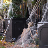 Halloween Decoration Spider Web