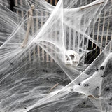 Halloween Decoration Spider Web