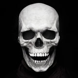 Halloween Mask Latex
