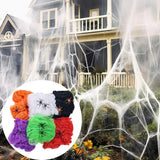 Halloween Decoration Spider Web
